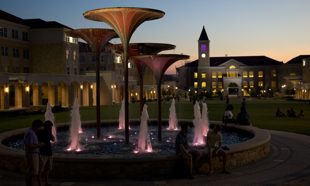 Frog fountain at night