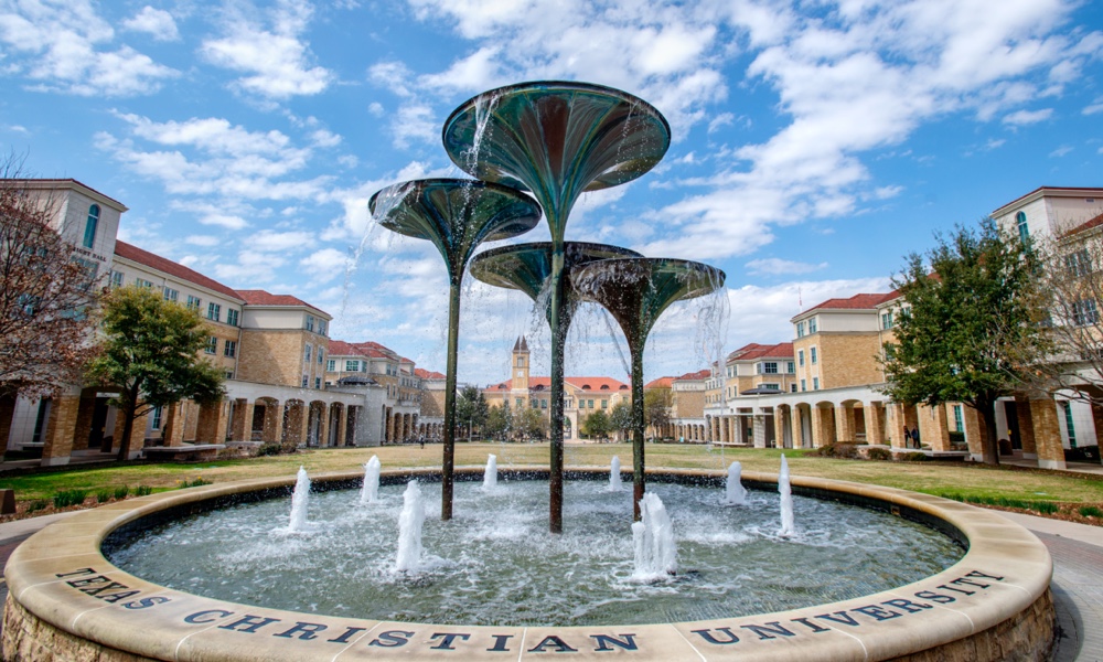 Frog Fountain