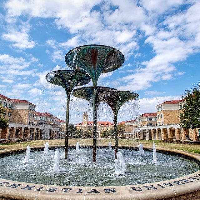 Frog Fountain